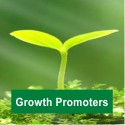 Growth Promoters